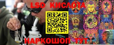 гидра Нальчик