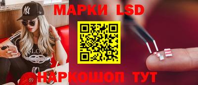 гидра Нальчик