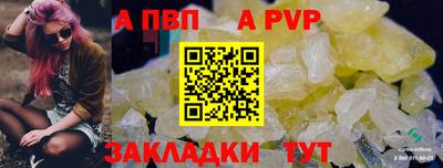 гидра Нальчик