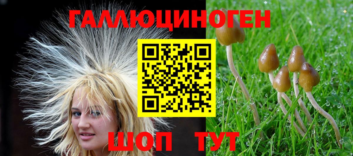 Галлюциногенные грибы MAGIC MUSHROOMS Сызрань
